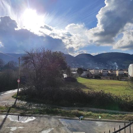 Amaltheia Studio Apartment Ioannina Bagian luar foto
