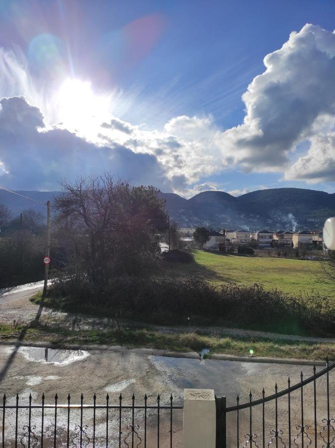 Amaltheia Studio Apartment Ioannina Bagian luar foto