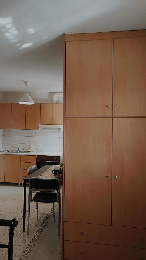Amaltheia Studio Apartment Ioannina Bagian luar foto