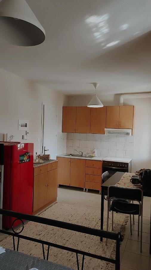Amaltheia Studio Apartment Ioannina Bagian luar foto