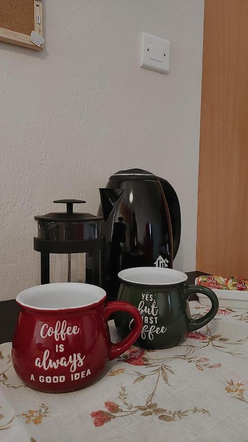 Amaltheia Studio Apartment Ioannina Bagian luar foto